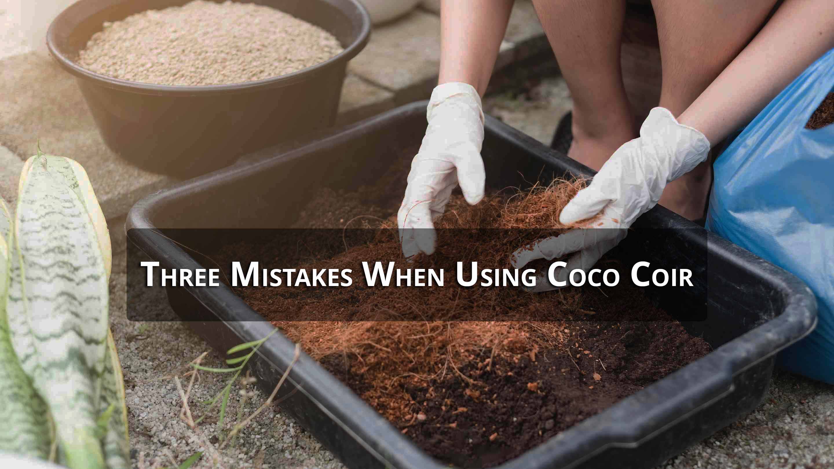 Growing Plants with Coconut Coir