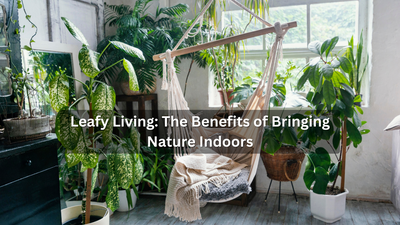 Leafy Living: The Benefits of Bringing Nature Indoors